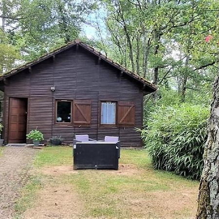 Weir Cottage Balledent Dış mekan fotoğraf